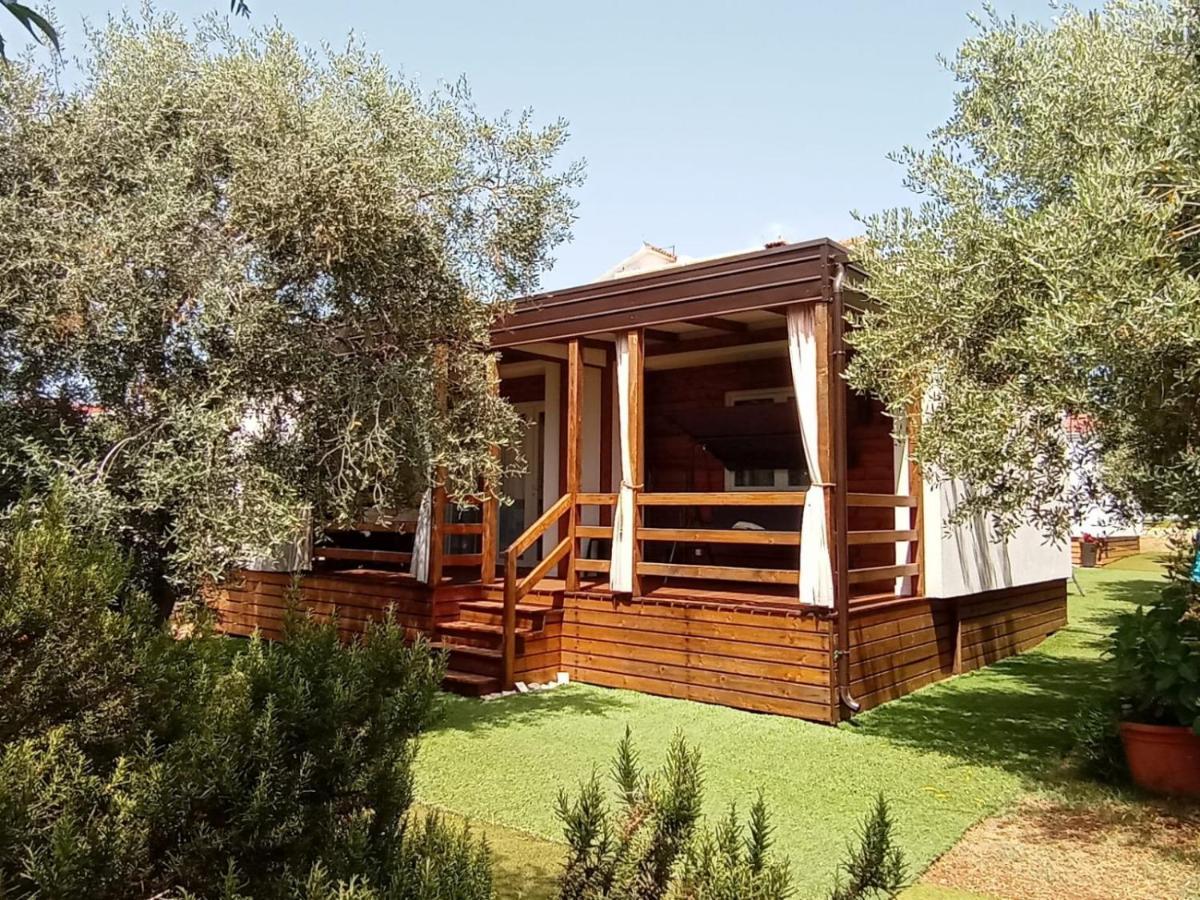 Mobile Homes Olive And Sea بيبينيا المظهر الخارجي الصورة